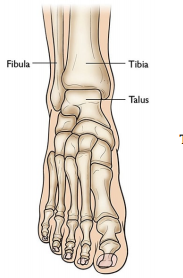 Ingrown Toenails: Signs, Causes, Treatment & Prevention